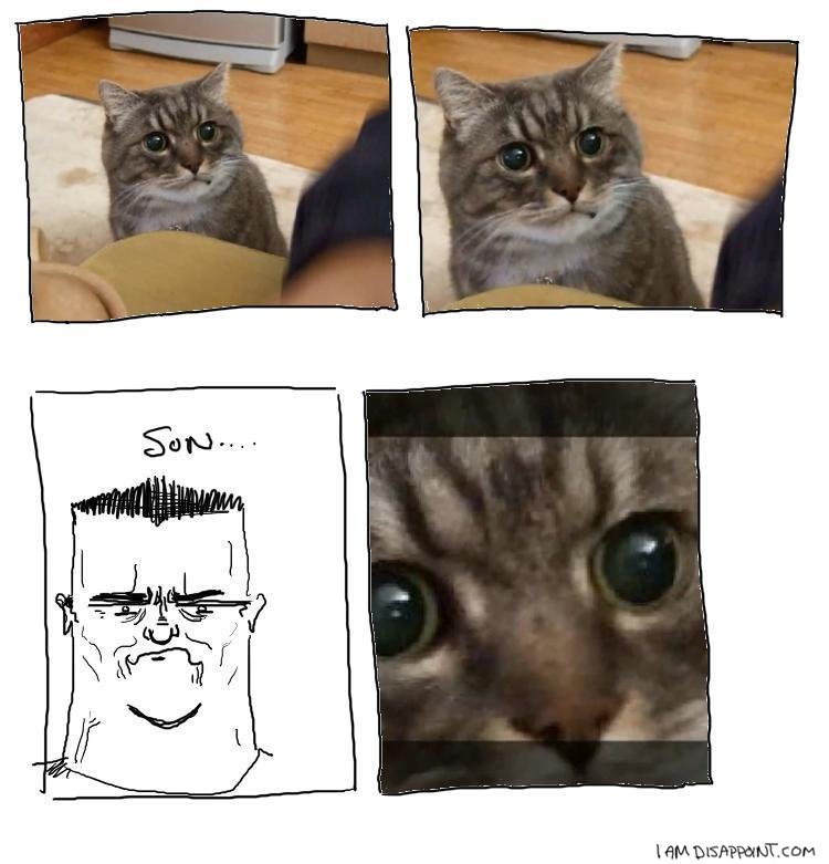 Iseenodisappoint