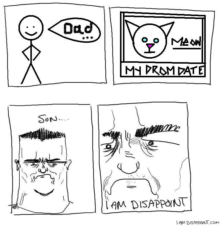 Iad_kitty_